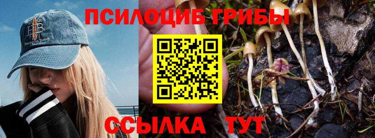 Галлюциногенные грибы Magic Shrooms Серов